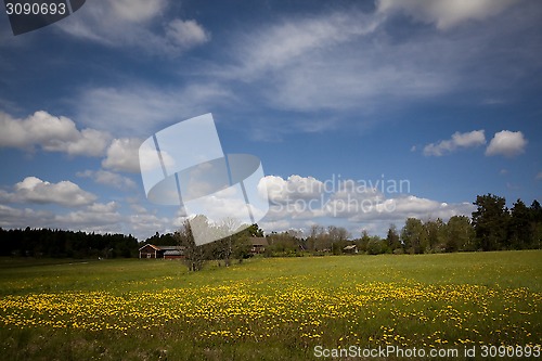 Image of swedish countryside