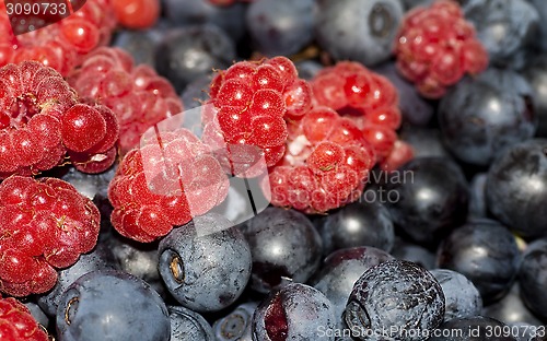 Image of berries