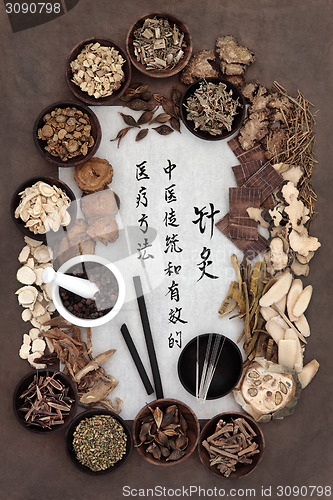 Image of Acupuncture Medicine