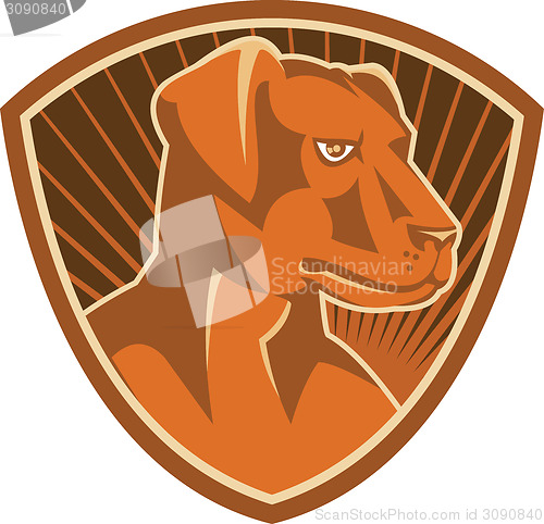 Image of Sheepdog Border Collie Shield Retro