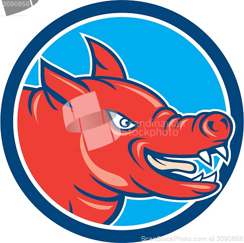 Image of Angry Pig Head Circle Cartoon