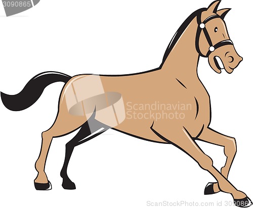 Image of Horse Kneeling Down Cartoon