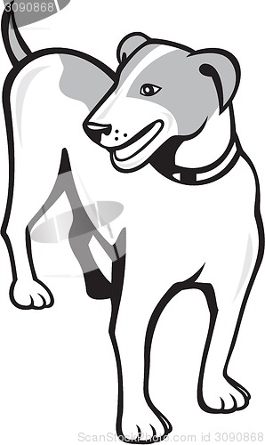 Image of Jack Russell Terrier Standing Cartoon