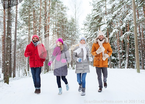 Image of group of smiling men and women in winter forest