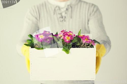 Image of man holding  big pot with flowers