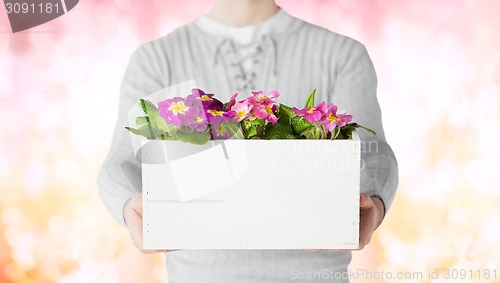 Image of close up of man holding big pot with flowers