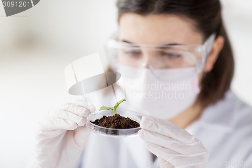 Image of close up of scientist with plant and soil in lab