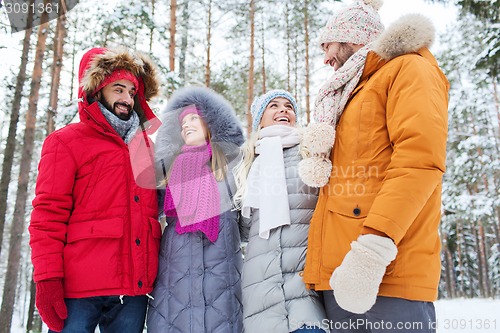 Image of group of smiling men and women in winter forest