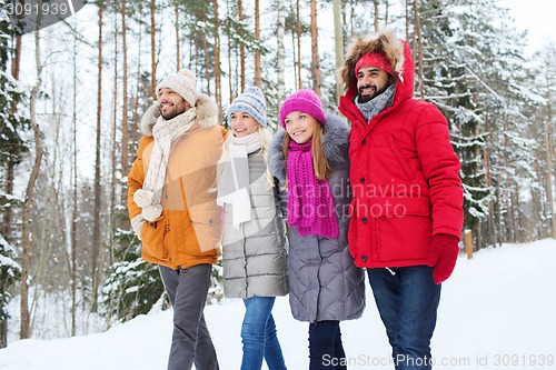 Image of group of smiling men and women in winter forest