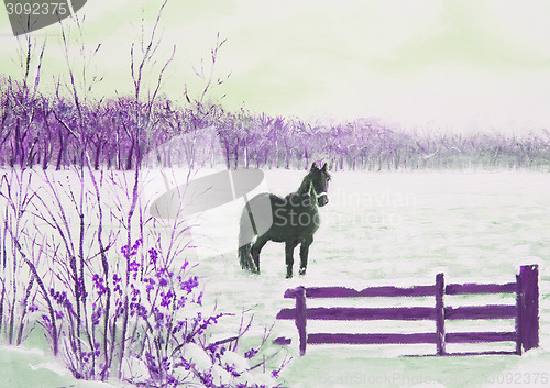 Image of Frisian horse in a snowy meadow