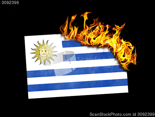 Image of Flag burning - Uruguay