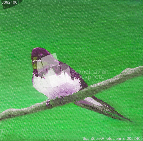 Image of Painting, adult swallow 