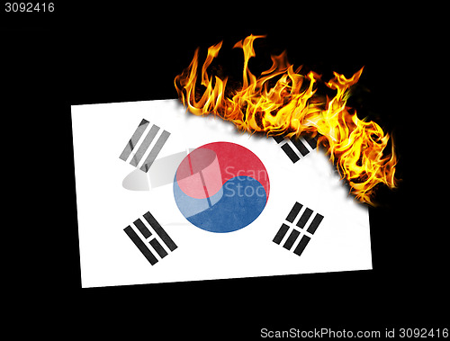 Image of Flag burning - South Korea