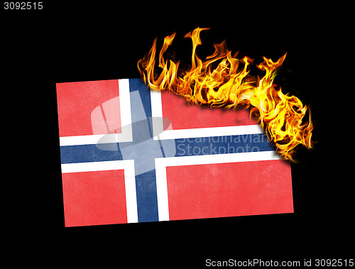 Image of Flag burning - Norway