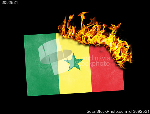 Image of Flag burning - Senegal