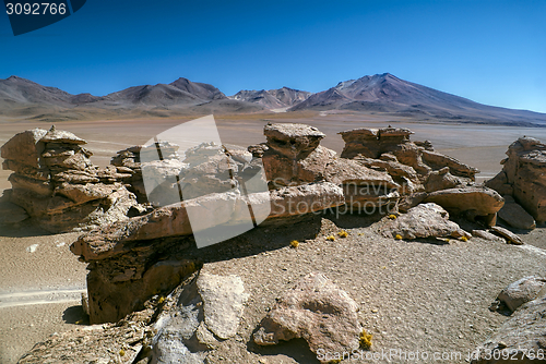 Image of Desert rocks