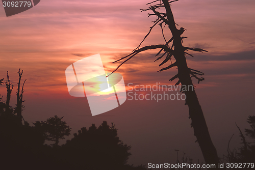 Image of Deadly sunset