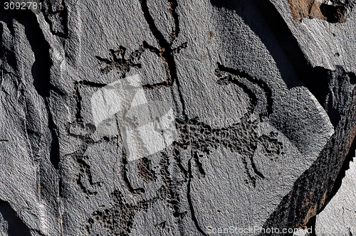 Image of Ancient petroglyphs