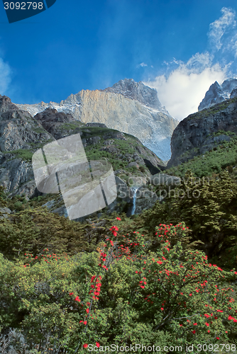 Image of Torres del Paine