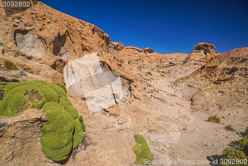 Image of Volcanic rocks