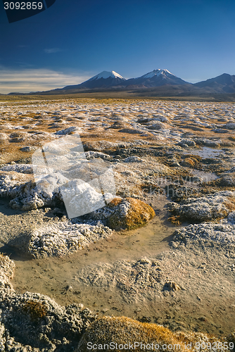 Image of Sajama