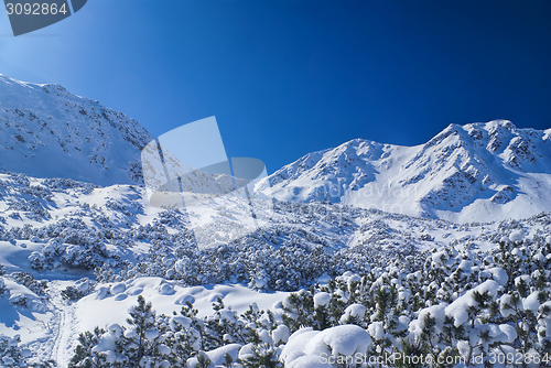 Image of Idyllic winter
