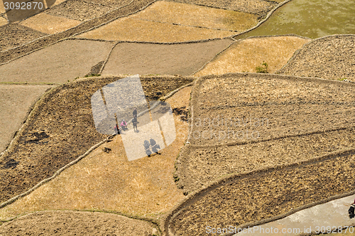 Image of Ploughing fields in Nepal