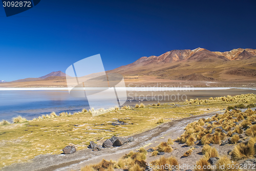 Image of bolivian desert