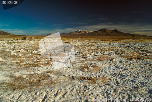 Image of Sajama