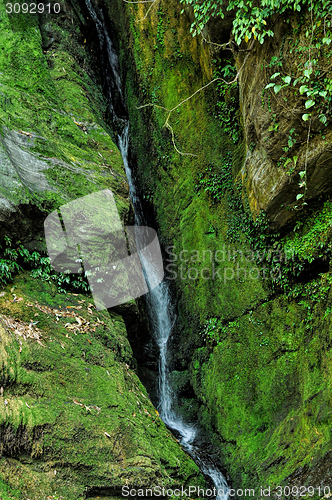 Image of Green waterfall