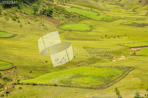 Image of Green fields in Nepal