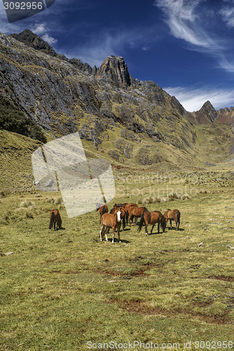 Image of Peruvian Andes