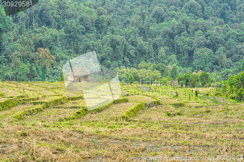 Image of Wooden shack