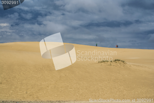 Image of Sand dunes