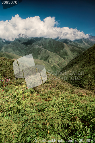 Image of Valley in Andes
