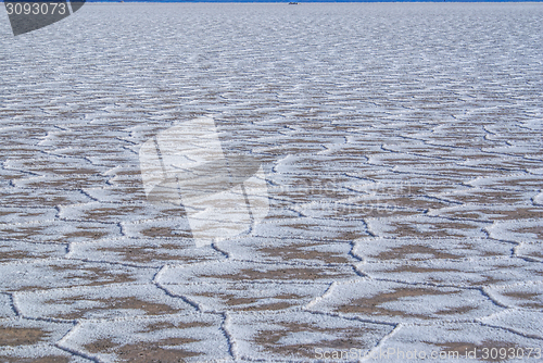 Image of Salinas grandes