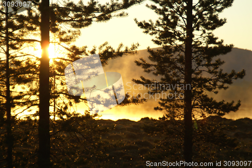 Image of Sunlit fog