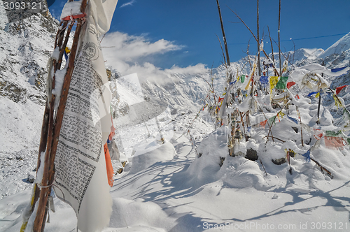 Image of Prayer flags in Himalayas