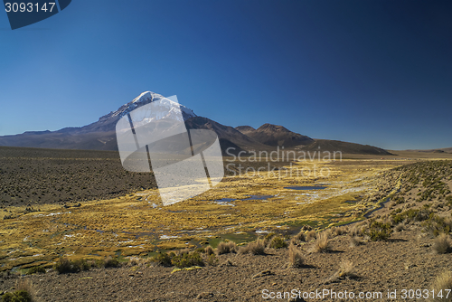 Image of Nevado Sajama