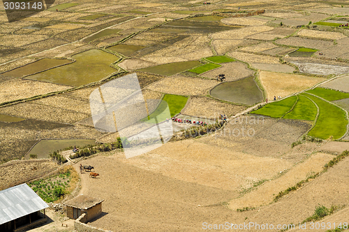 Image of Fields in Nepal