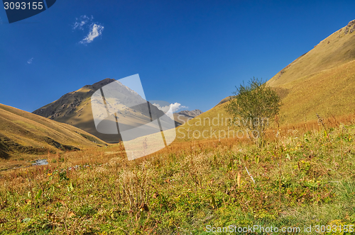 Image of Ala Archa in Kyrgyzstan