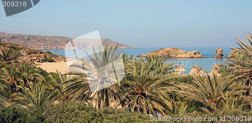 Image of Vai beach from behind the palms