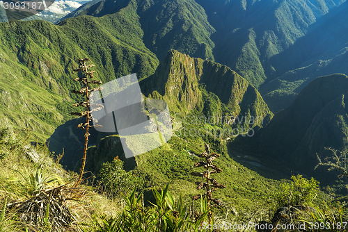 Image of Cuzco