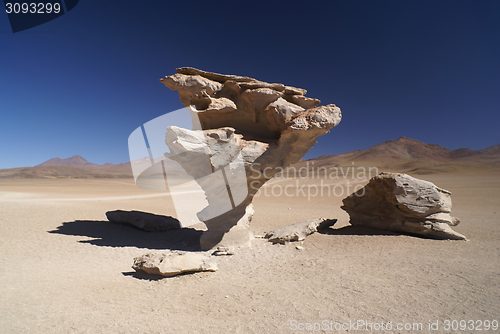 Image of Stone tree