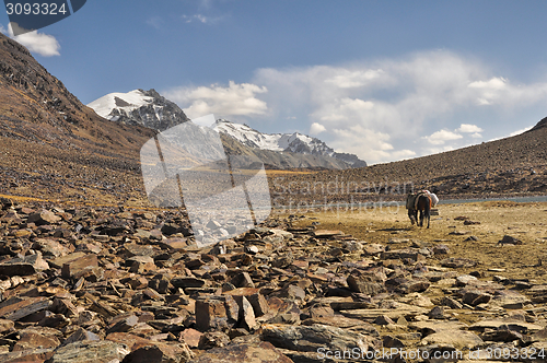 Image of Arid valley in Tajikistan