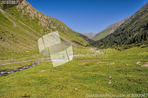 Image of Green Tien-Shan in Kyrgyzstan