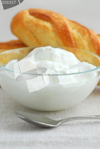 Image of Yogurt