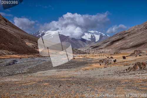 Image of Valley in Tajikistan
