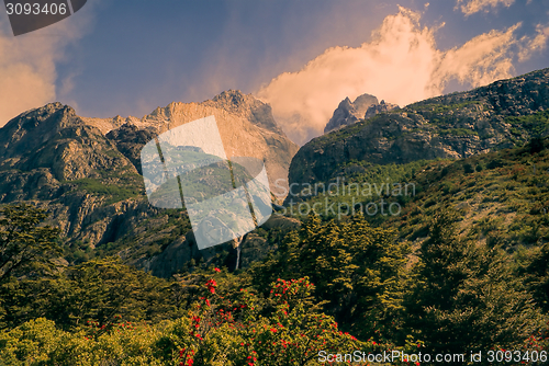 Image of Torres del Paine