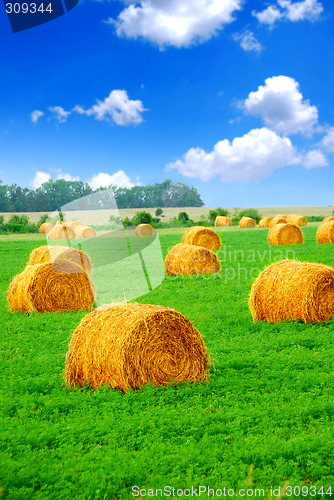 Image of Hay bales